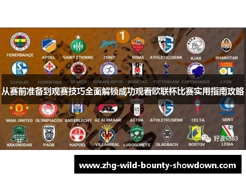 从赛前准备到观赛技巧全面解锁成功观看欧联杯比赛实用指南攻略