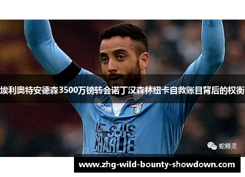 埃利奥特安德森3500万镑转会诺丁汉森林纽卡自救账目背后的权衡